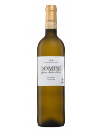 Domine Rueda Verdejo