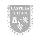 Vinos de Castilla y León